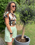 schicke Shorts mit Bundfalten in tollen Farben